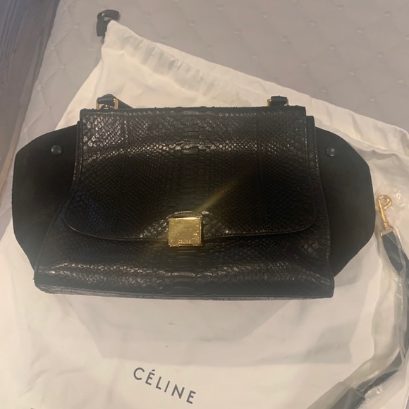 Celine Trapeze Bag Black, Skin, and Suede - Picture 2 of 11